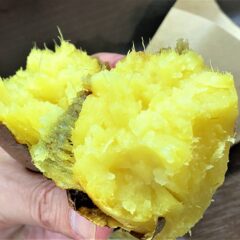 真夏の焼き芋「ダルマヤ商店」