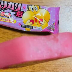 人気ＮＯ１のガリガリ君