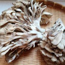 舞茸は洗うべき？舞茸・きのこは洗わない方が良い理由について解説