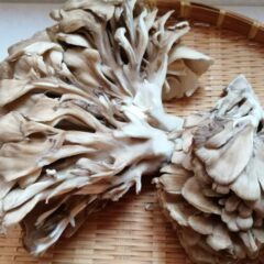 舞茸は洗うべき？舞茸・きのこは洗わない方が良い理由について解説