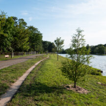 長浜市の豊公園でほっと一息。見どころと楽しめるポイントを解説！