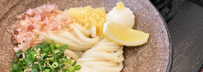 山石土平の冷凍生うどん