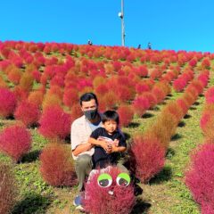秋色コキア「びわ湖箱館山」