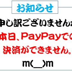 またまたPayPayトラブル(>_<)