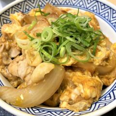 吉野家の親子丼と黒カレー(≧▽≦)