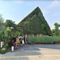 スイスの思い出