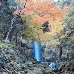 「養老公園」の紅葉と滝とサイダー