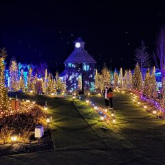 「ローザンイルミ 2022-2023～ひかり奏でる丘～」