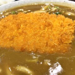 偵察！ココイチの「ロースカツカレーうどん」