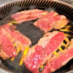 あの「すだく」が帰ってきた！