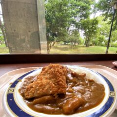 「バイオ食堂」でボリューミーな激安ランチ♪