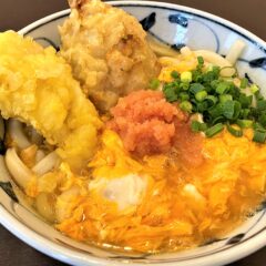 「11月限定うどん」と「８周年記念キャンペーン」(^o^)／
