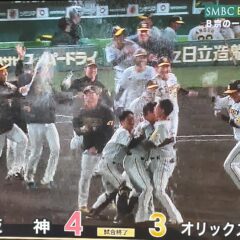「ソビト」で野球観戦！阪神サヨナラ勝ち(^o^)／