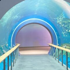 トンネル水槽の再開で見どころ満載！「県立琵琶湖博物館」