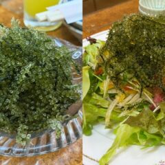 絶品！タコと海ぶどうの野菜サラダ♪「沖縄料理めんそーれ」