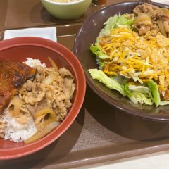 新しいすき家で「牛あいがけタコライス」と「うな牛」