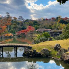 紅葉に彩られた庭園と彦根城「名勝・玄宮園」