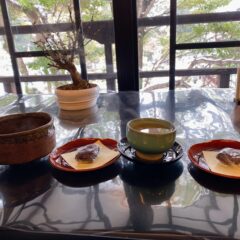 盆梅カフェでまったりとお茶タイム！「長浜盆梅展」