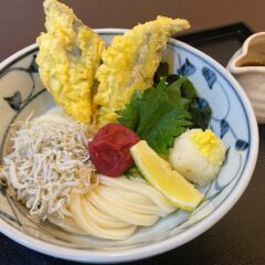 ４月限定うどん！「岡山名物 鰆の天ぷら」と「鳥宗亭のコロッケ」