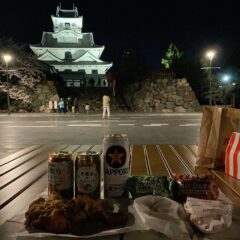 「豊公園の夜桜」＆「ザ☆アメリカンバーガーズ」