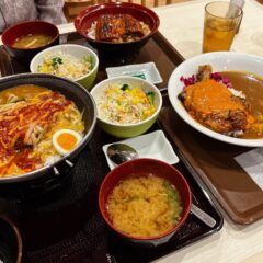 すき家の新メニュー！「灼熱の焼きハンバーグカレー」