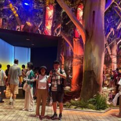 ２回目の大阪関西万博③「オーストラリア～ブルーオーシャン～スペイン」