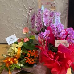 「続・10周年のお祝い」＆「12月限定うどん」