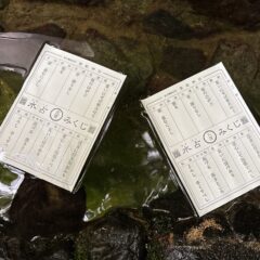 「貴船神社の水占みくじ」＆「6月限定うどん」